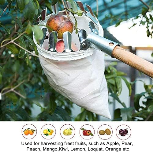 Инструмент за събиране на плодове TOYPEX кош за събиране на плодове, Инструменти За Събиране на плодове с Голяма Еластична