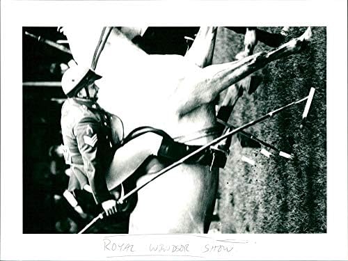 Реколта снимка на Кралското Виндзорской изложби на коне
