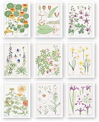 Реколта Ботанически щампи | Френски Диви цветя по стените от Ink Inc. | Цветен Декор на стени | Дизайн на къща в стил